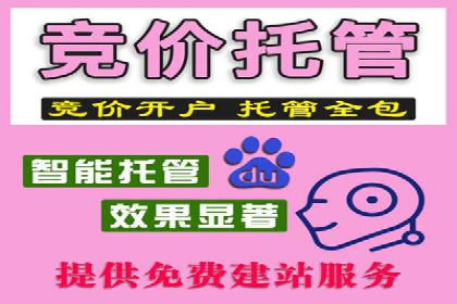 某金融APP的信息流广告投放策略与效果评估
